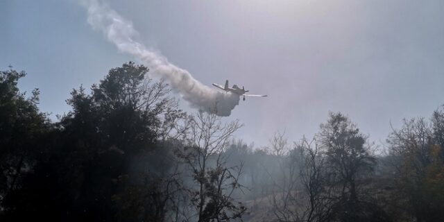 Ροδόπη: Φωτιά σε δασική έκταση στην περιοχή Μίσχος