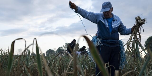 Κομισιόν: Στο μικροσκόπιο η εκτόξευση των τιμών στα λιπάσματα – Συστάσεις στους αγρότες