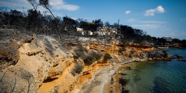 Δίκη για τη φωτιά στο Μάτι: “Ο αδελφός μου ίσως και να είχε σωθεί αν δεν είχε ακούσει τις Αρχές”