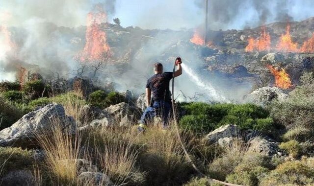 Κρήτη: Φωτιά στο δάσος της Κέρης – Μεγάλη επιχείρηση της Πυροσβεστικής