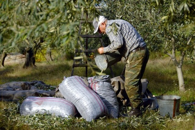 Νέα Κοινή Γεωργική Πολιτική: Από την 1η Ιανουαρίου 2023 προβλέπεται η έναρξη