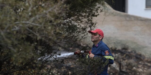 Φωτιά στην Αρτέμιδα Ηλείας