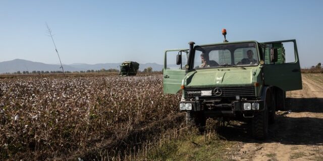 Eurostat: Πόση έκταση χρησιμοποιείται στην Ελλάδα για βιολογική γεωργία