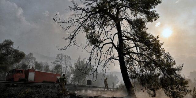 Ζάκυνθος: Οριοθετήθηκε η φωτιά στο Κορίθι