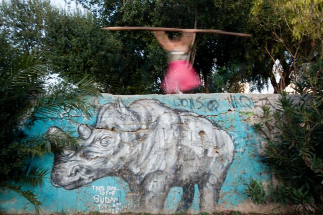 Σε αυτό το αντισυμβατικό σαφάρι στην καρδιά της Αθήνας θα συναντήσεις μέχρι και meta-Ρινόκερους