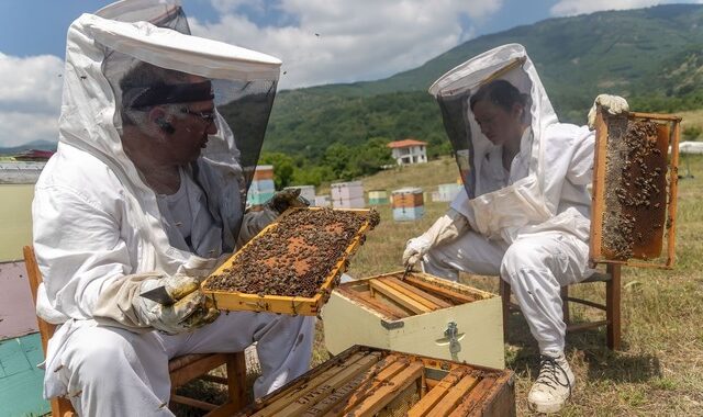 Μέλι: “Τρέχει” η κυβέρνηση για τις ελληνοποιήσεις