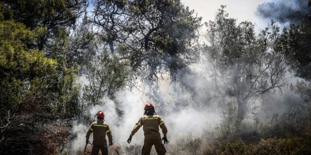 Φωτιές σε δασικές εκτάσεις στον Ωρωπό και στη Χαλκιδική