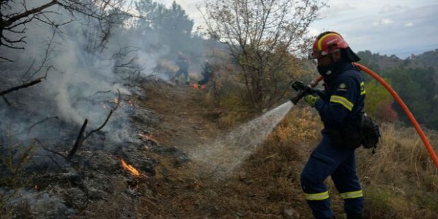 Πρόληψη δασικών πυρκαγιών από το WWF Eλλάς και την P&G