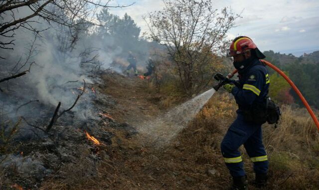 Πρόληψη δασικών πυρκαγιών από το WWF Eλλάς και την P&G