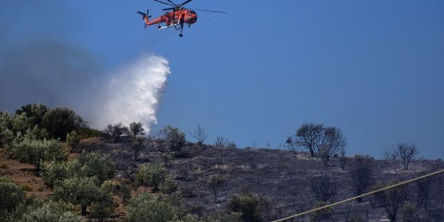 Κορινθία: Υπό πλήρη έλεγχο η φωτιά στους Αγίους Θεοδώρους