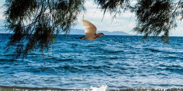 Καιρός: Aίθριος με τοπικές νεφώσεις την Παρασκευή – Στους 35 βαθμούς θα φτάσει η θερμοκρασία