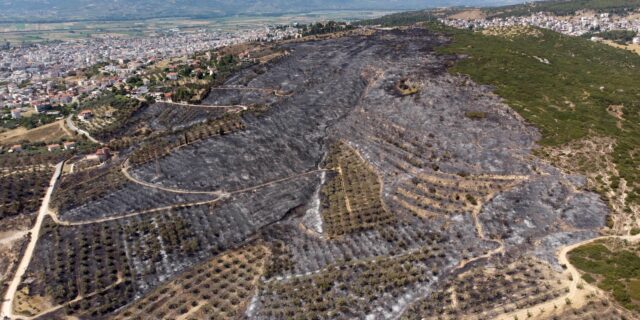 Σκυλακάκης: Κίνητρα για την πρόληψη και τον καθαρισμό των δασών – Νέο πλαίσιο για τις επιδοτήσεις στο ρεύμα