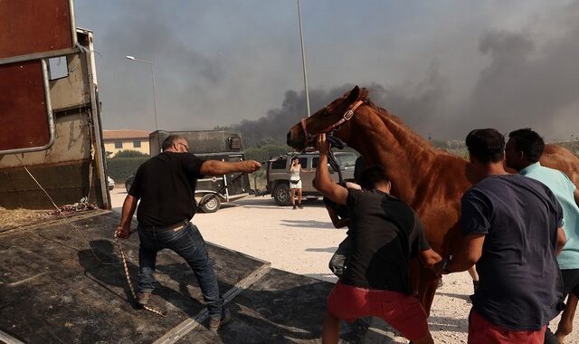 Φωτιά στον Κουβαρά: Επιχείρηση διάσωσης εγκλωβισμένων αλόγων