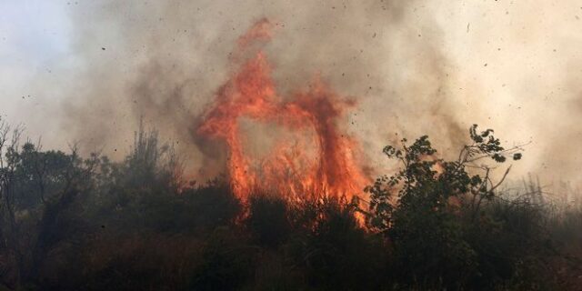 Πυροσβεστική: 62 δασικές πυρκαγιές το τελευταίο 24άωρο