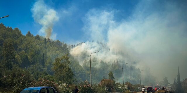 Φωτιά τώρα στον Πλάτανο Αρχαίας Ολυμπίας