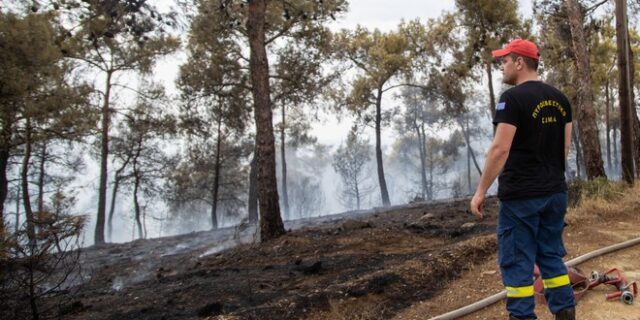 Κρήτη: Φωτιά στην Ιεράπετρα, μεγάλη κινητοποίηση της Πυροσβεστικής