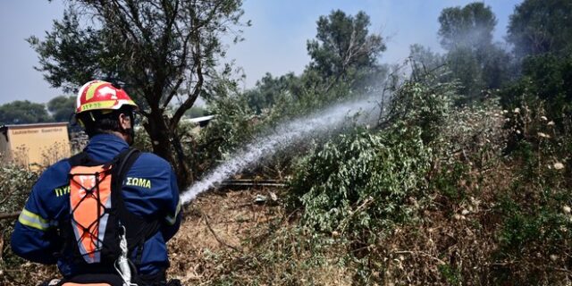 Μεσσηνία: Υπό μερικό έλεγχο η φωτιά στη Χρυσοκελλαριά