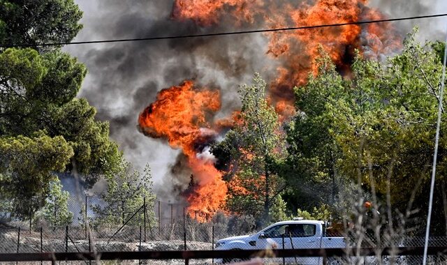 Φωτιά στην Υλίκη της Βοιωτίας – Κινητοποίηση της πυροσβεστικής