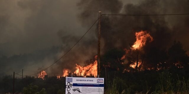 Ε. Λέκκας για φωτιές: Οι δασικές πυρκαγιές πυροδοτούν την κλιματική κρίση