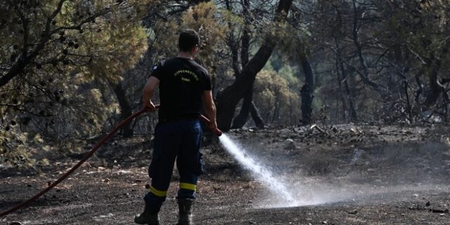 Μεσσηνία: Υπό έλεγχο φωτιά στην Κορώνη – Σε επιφυλακή η πυροσβεστική