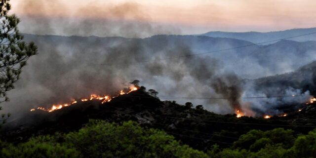 “Νέα κανονικότητα οι πυρκαγιές” τονίζουν οι επιστήμονες