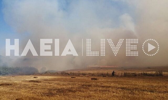 Ηλεία: Μεγάλη φωτιά στην Αετοράχη – Κινητοποιήθηκαν εναέρια μέσα