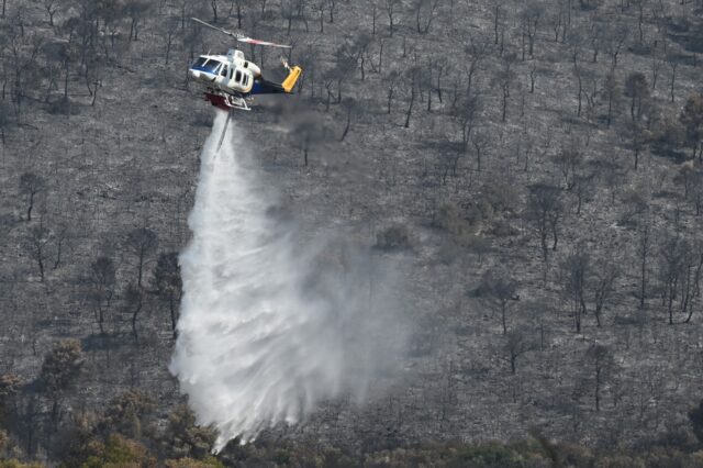 WWF για φωτιές: Οκτώ προτάσεις για την πρόληψη και τον στρατηγικό σχεδιασμό