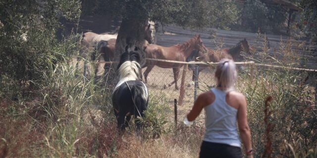 Κάτι (στραβό) συμβαίνει εδώ…