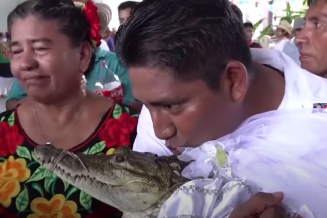 Μεξικό: Δήμαρχος παντρεύεται με κροκόδειλο για να πάει καλά η σοδειά – Τι συμβολίζει το περίεργο έθιμο