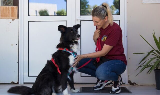Η Royal Canin Hellas ενώνει τις δυνάμεις της με τη “Save a Greek Stray” και στηρίζει το πρόγραμμα «Ιαματική Ζωοφιλία»