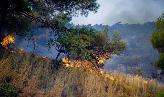 Φωτιές: Πού θα είναι υψηλός ο κίνδυνος πυρκαγιάς σήμερα