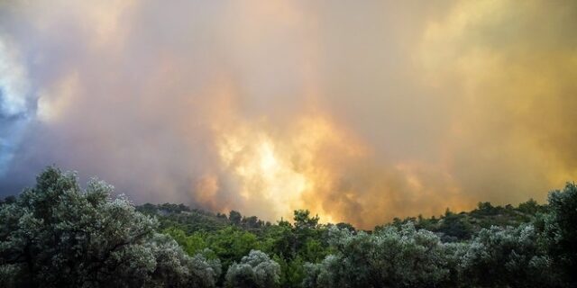 Φωτιά στη Ρόδο: Εικόνες καταστροφής, από drone του BBC