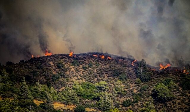 Φωτιά στη Ρόδο: Συνεχείς οι αναζωπυρώσεις – Σε κατάσταση έκτακτης ανάγκης τρεις περιοχές
