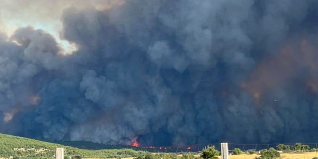 Φωτιά στην Αλεξανδρούπολη – Αντιπεριφερειάρχης Έβρου: “Πρόβλημα οι συνεχείς ανακατευθύνσεις της πυρκαγιάς”