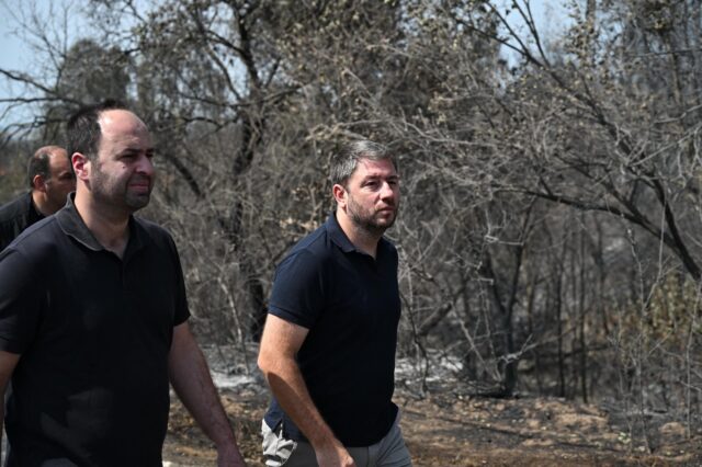 Ανδρουλάκης από Ροδόπη: “Το κλειδί της αντιμετώπισης των πυρκαγιών είναι η πρόληψη”