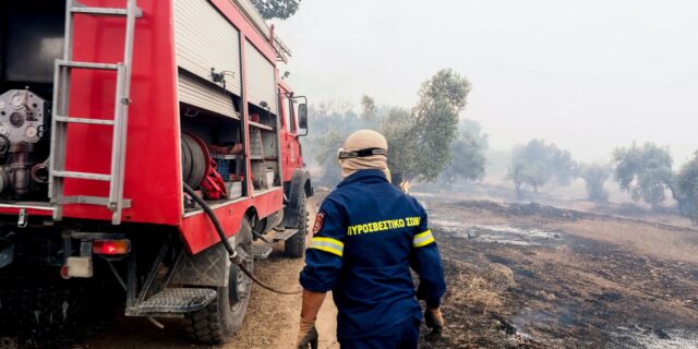 Φωτιές: Συλλήψεις σε Λάρισα και Κάρυστο για εμπρησμό