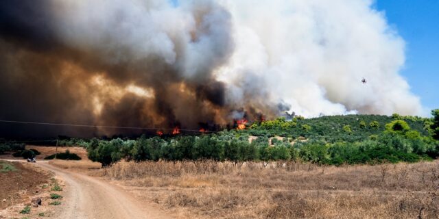 Φωτιά στην Εύβοια: Μεγάλο το μέτωπο σε Νέα Αρτάκη και Ψαχνά – Ισχυροί άνεμοι στην περιοχή