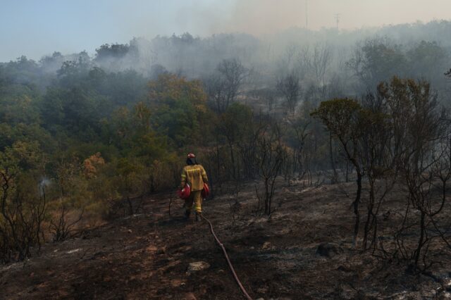 Φωτιές: Κάηκαν 1,7 εκατ. στρέμματα από την αρχή του έτους – 1,2 εκατ. μόνο τον Αύγουστο