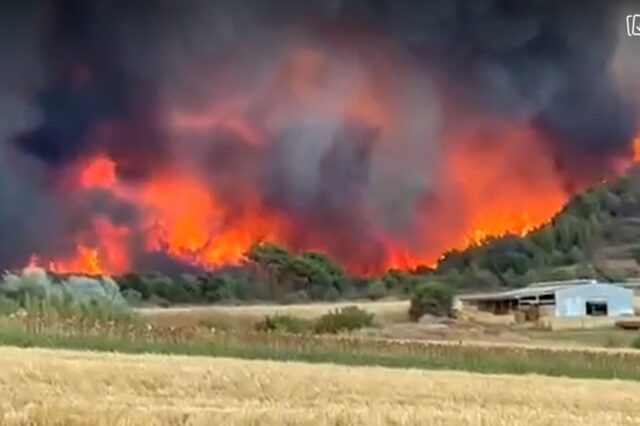 Φωτιά στην Αλεξανδρούπολη: Νέες αναζωπυρώσεις – Άνοιξε σε τρία μέτωπα λόγω των ισχυρών ανέμων