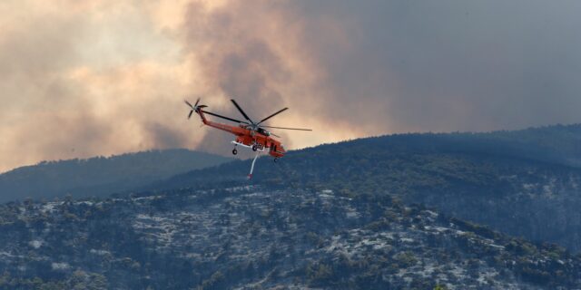 Φωτιές: Τέσσερις προσαγωγές υπόπτων για εμπρησμό σε Αυλώνα και Μενίδι