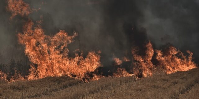 Κέρκυρα: Σύλληψη 82χρονου για εμπρησμό