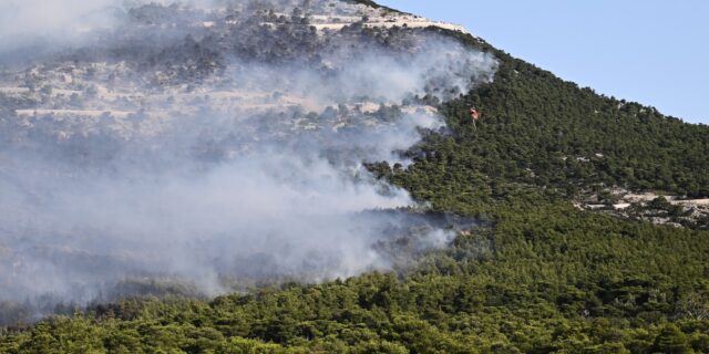 Σύσκεψη στο Μαξίμου για την αποκατάσταση των δασών Έβρου και Πάρνηθας