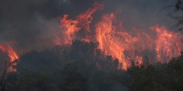 Φθιώτιδα: Φωτιά σε αγροτοδασική έκταση στην περιοχή “Μεταλλείο Τσούκας”