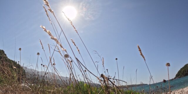 Καιρός: Παραμένουν τα μελτέμια, ανεβαίνει η θερμοκρασία