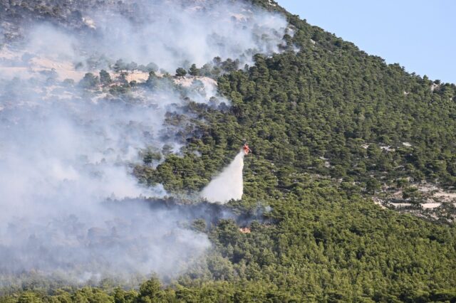 Μίνα Γκάγκα: Χωρίς “πνεύμονες” πρασίνου, η κατάσταση θα γίνεται όλο και πιο ασφυκτική