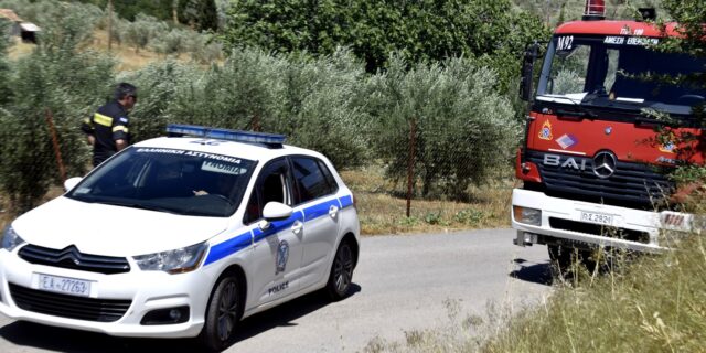 Θεσσαλονίκη: Σύλληψη για εμπρησμό από αμέλεια στον Λαχανά