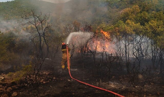 Φωτιές: Άνιση μάχη με τις φλόγες στον Έβρο – Ανησυχία για τους ανέμους, μεγάλη επιχείρηση στο Δάσος της Δαδιάς