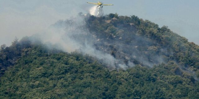 Φωτιά στην Αλεξανδρούπολη: Μεγάλη αναζωπύρωση λόγω των ισχυρών ανέμων – Ενισχύθηκαν οι δυνάμεις