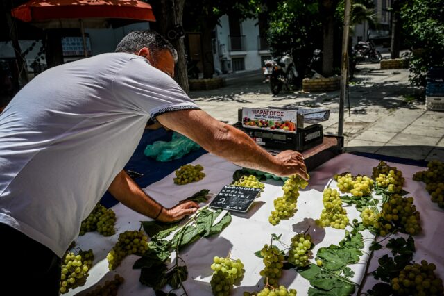 Αυξάνονται οι εισαγωγές φρούτων – Οι αιτίες