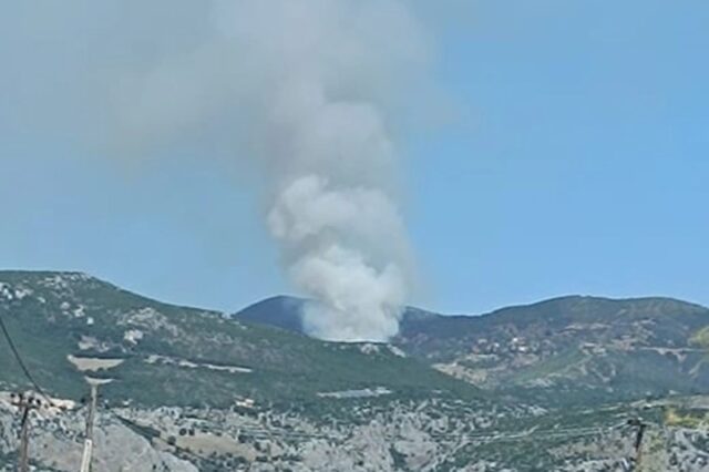 Φθιώτιδα: Μεγάλη φωτιά σε δασική έκταση στη Δίβρη